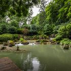 Wasser im Japangarten