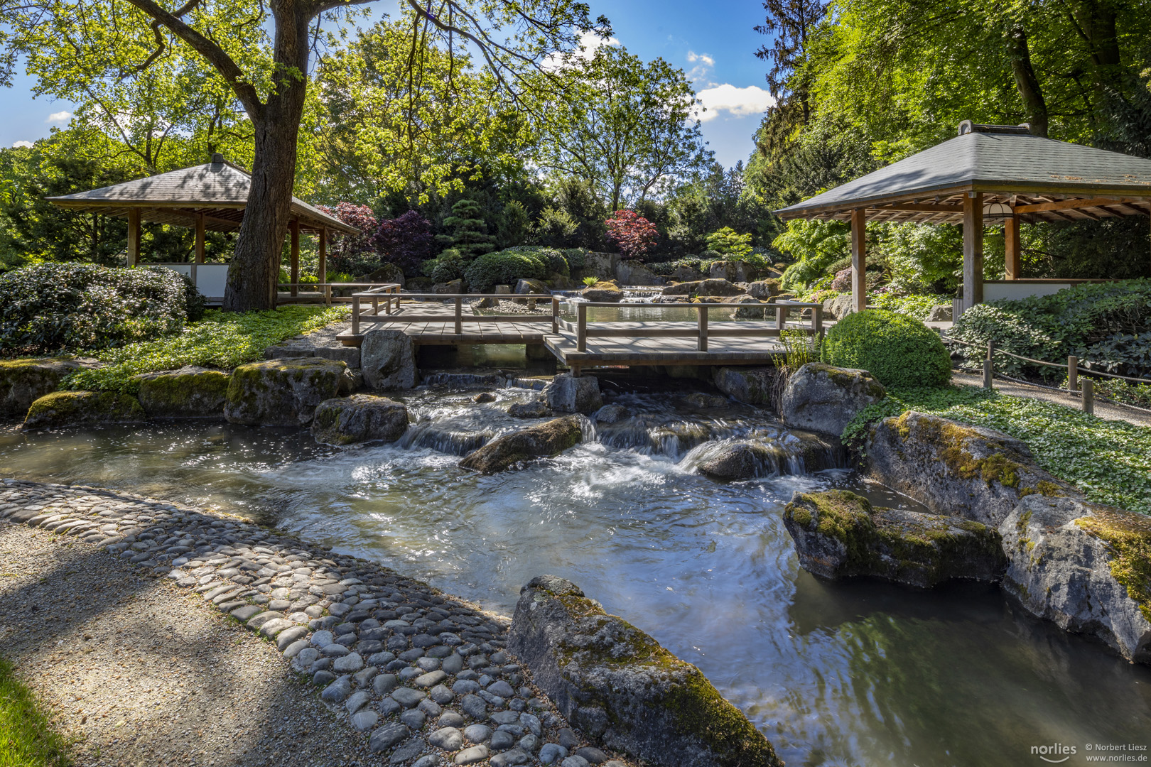 Wasser im Japangarten