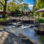 Wasser im Japangarten