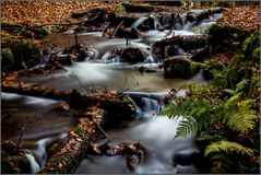 Wasser im Karlstal