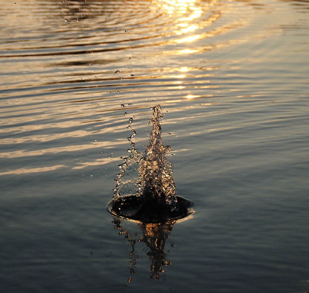 Wasser im Licht ...