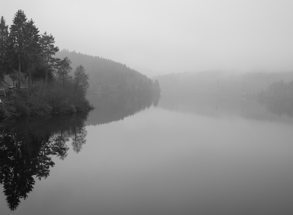 Wasser im Nebel