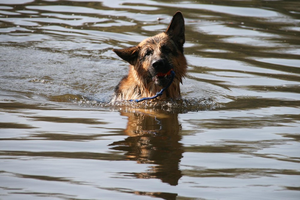 Wasser im Ohr