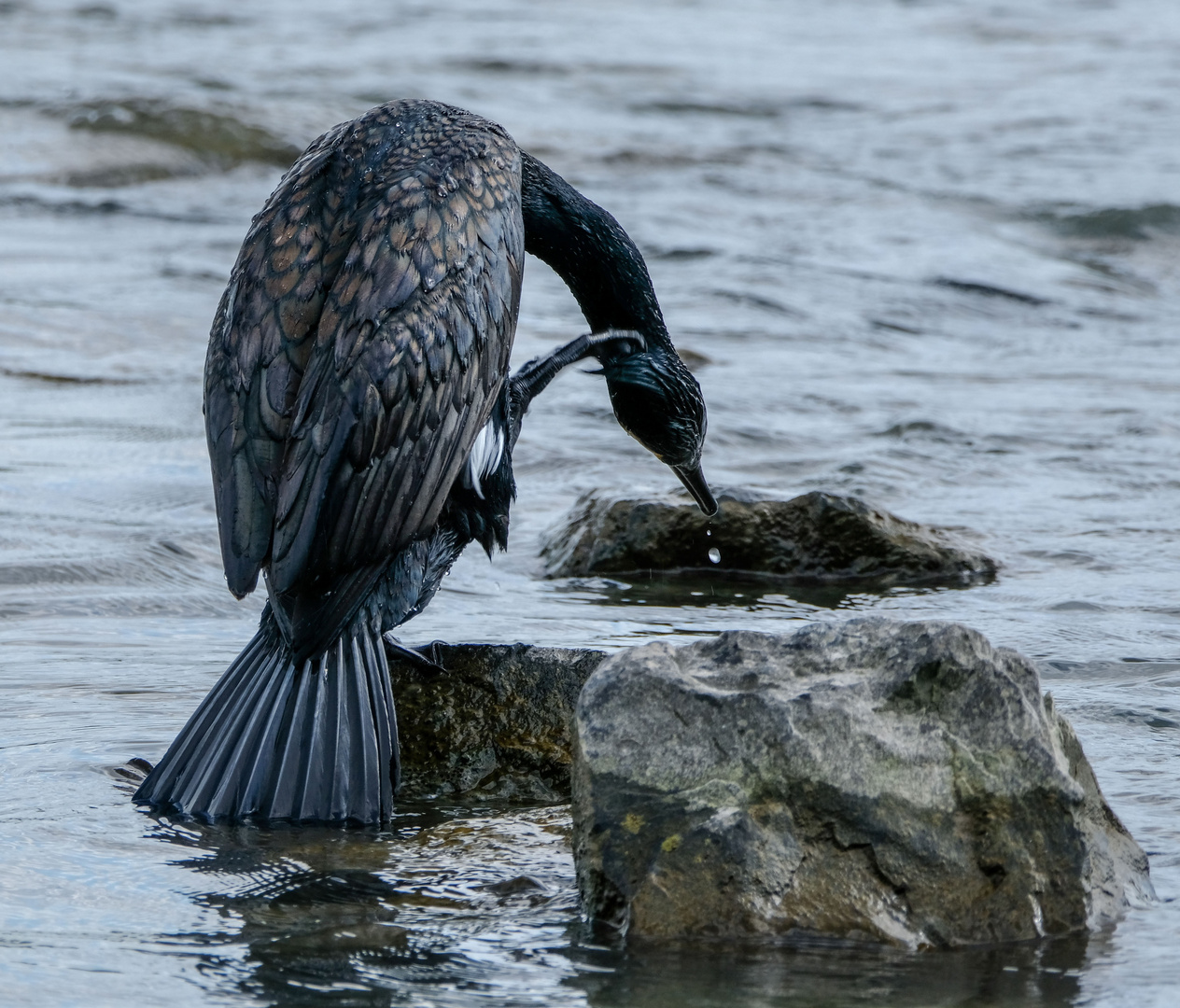 Wasser im Ohr?