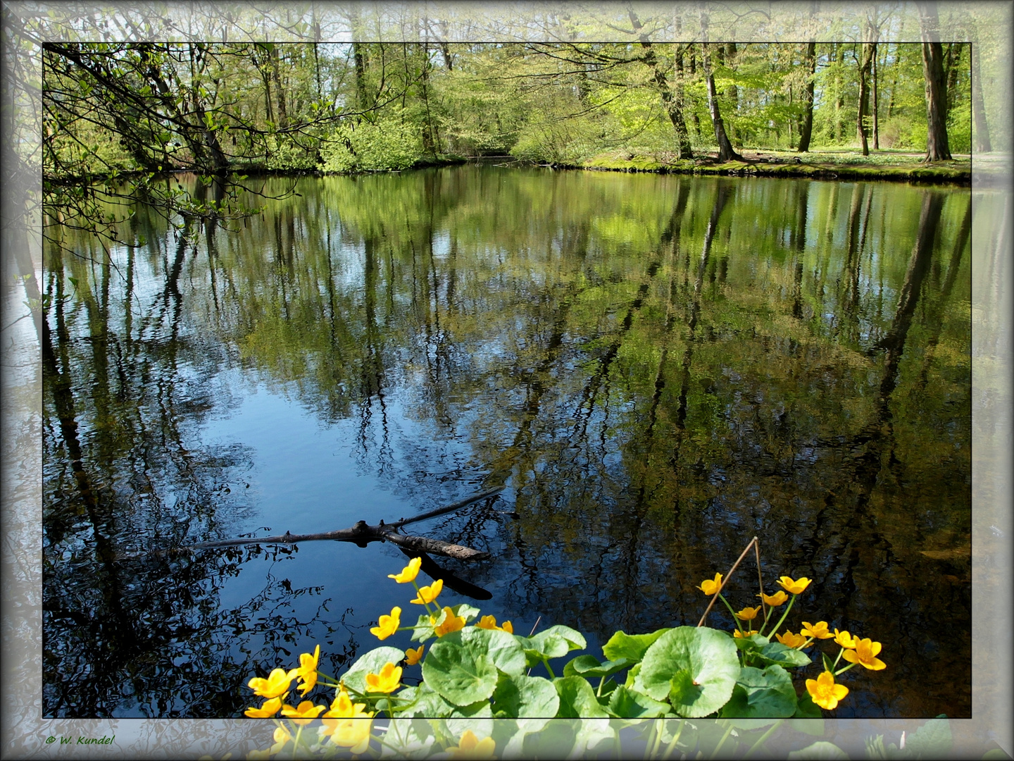 Wasser im Park