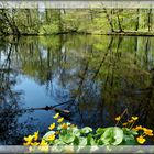 Wasser im Park