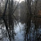 Wasser im Park