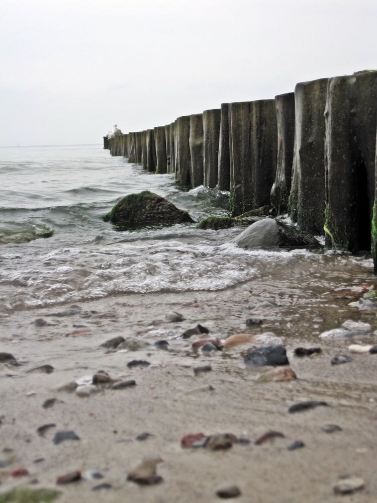 Wasser im Sand im Holz überall von Thompson88 