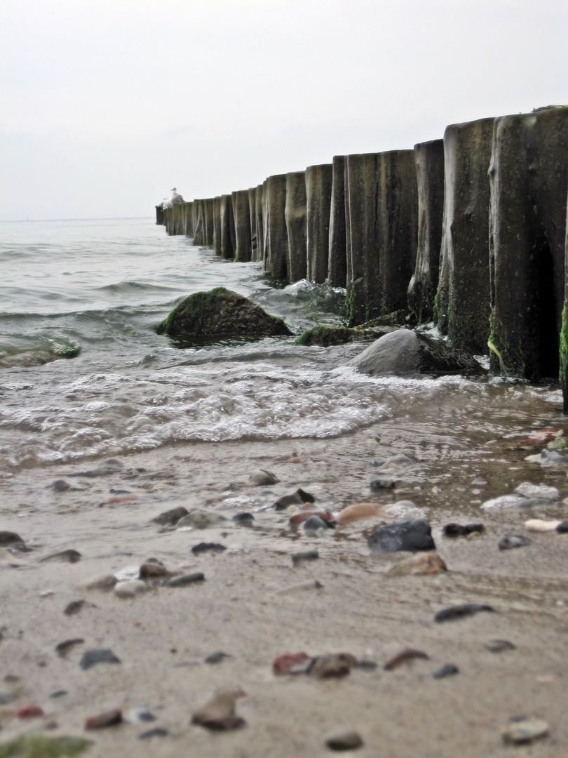 Wasser im Sand im Holz überall