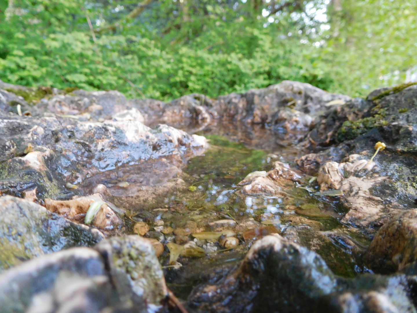 Wasser im Stein