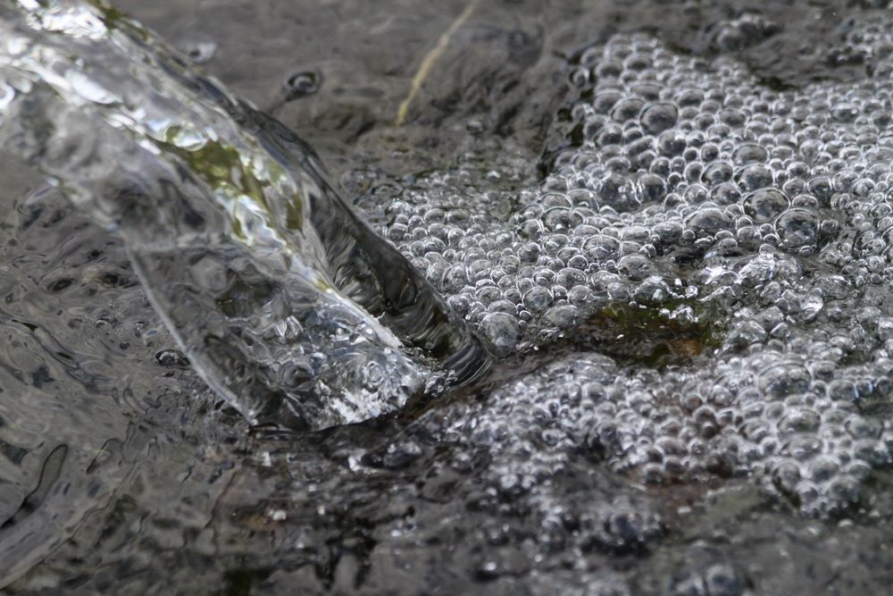 Wasser im Teich