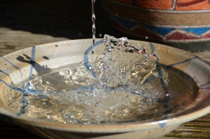 wasser im teller