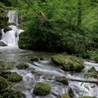 Wasser im Überfluss ...