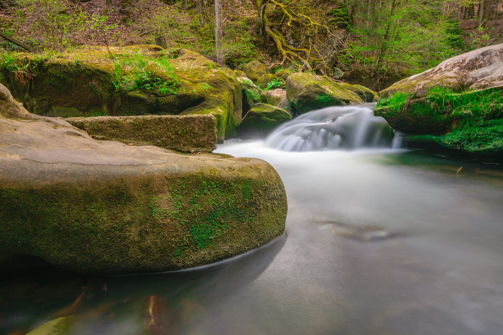 Wasser im Wald 