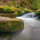 Wasser im Wald 