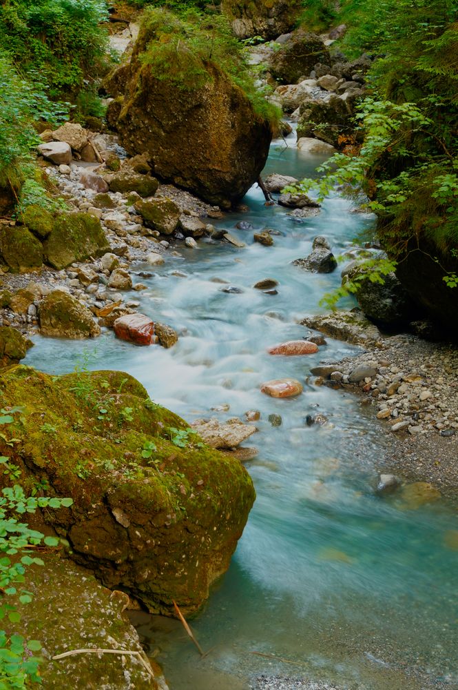 Wasser im Wald