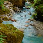 Wasser im Wald