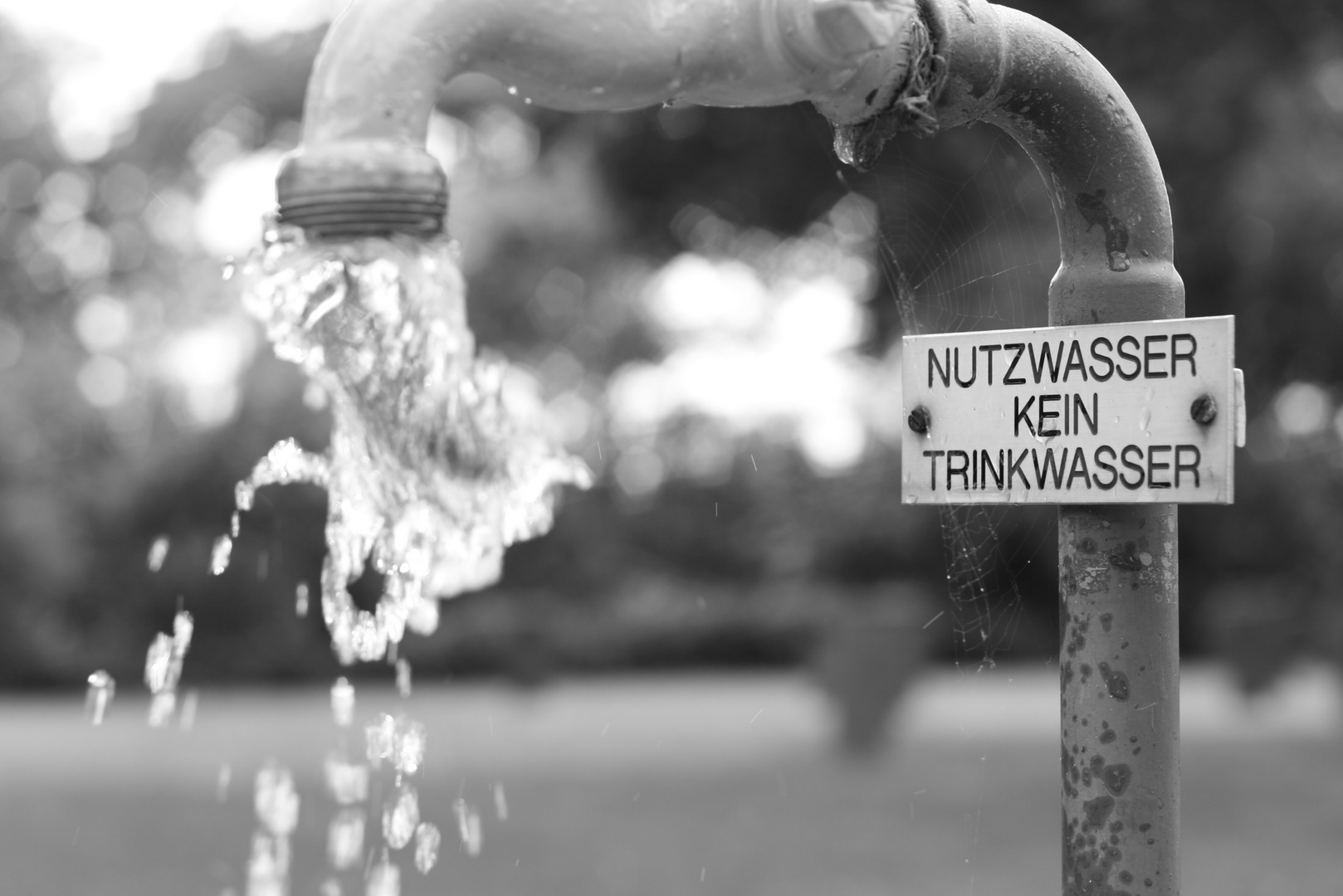 Wasser im Zentralfriedhof