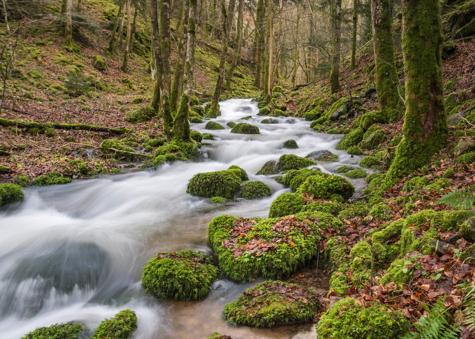 Wasser - immer in Bewegung