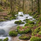 Wasser - immer in Bewegung