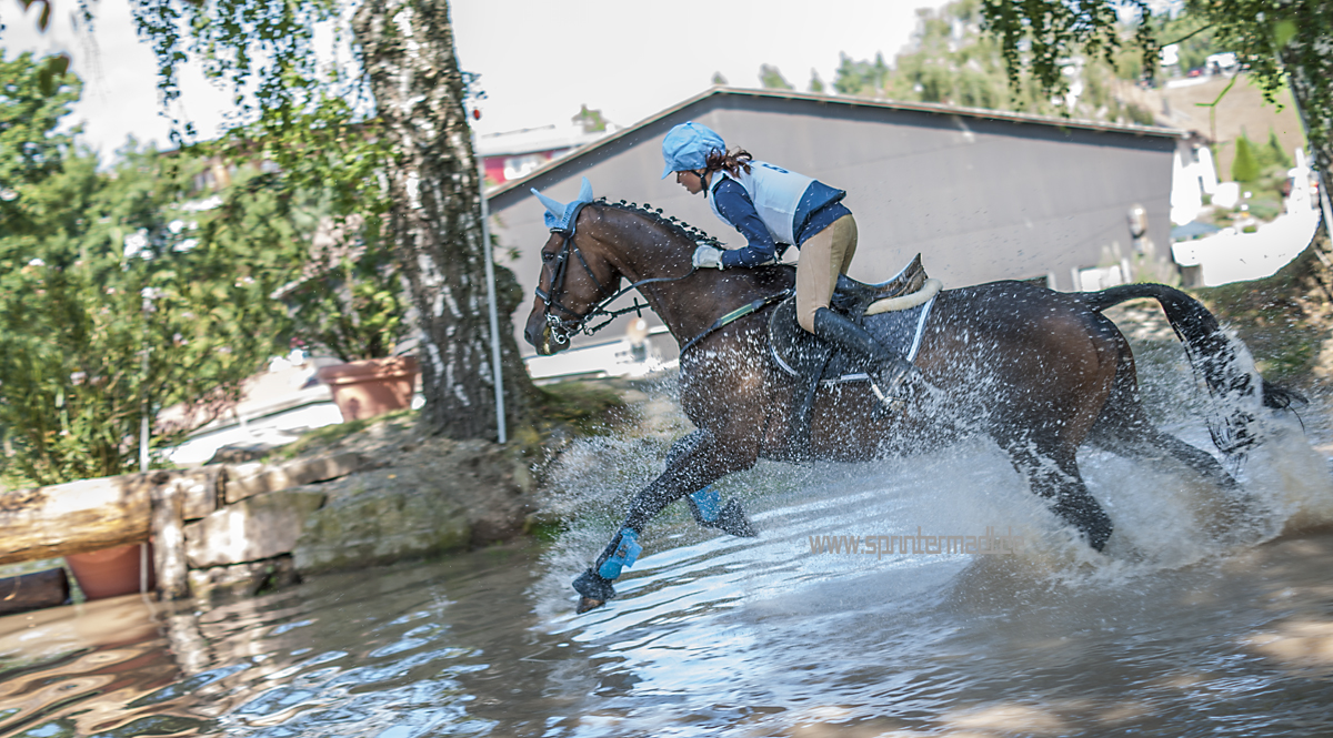 Wasser in Altensteig...