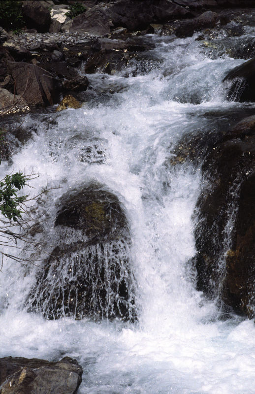 Wasser in Bewegung