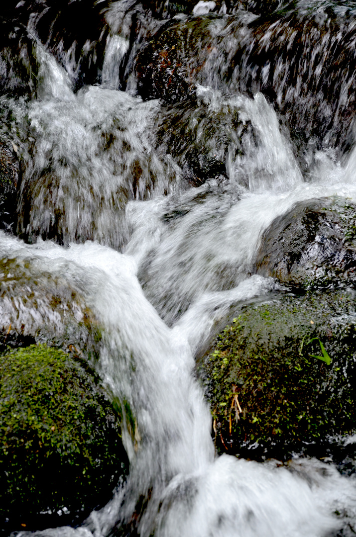 Wasser in Bewegung