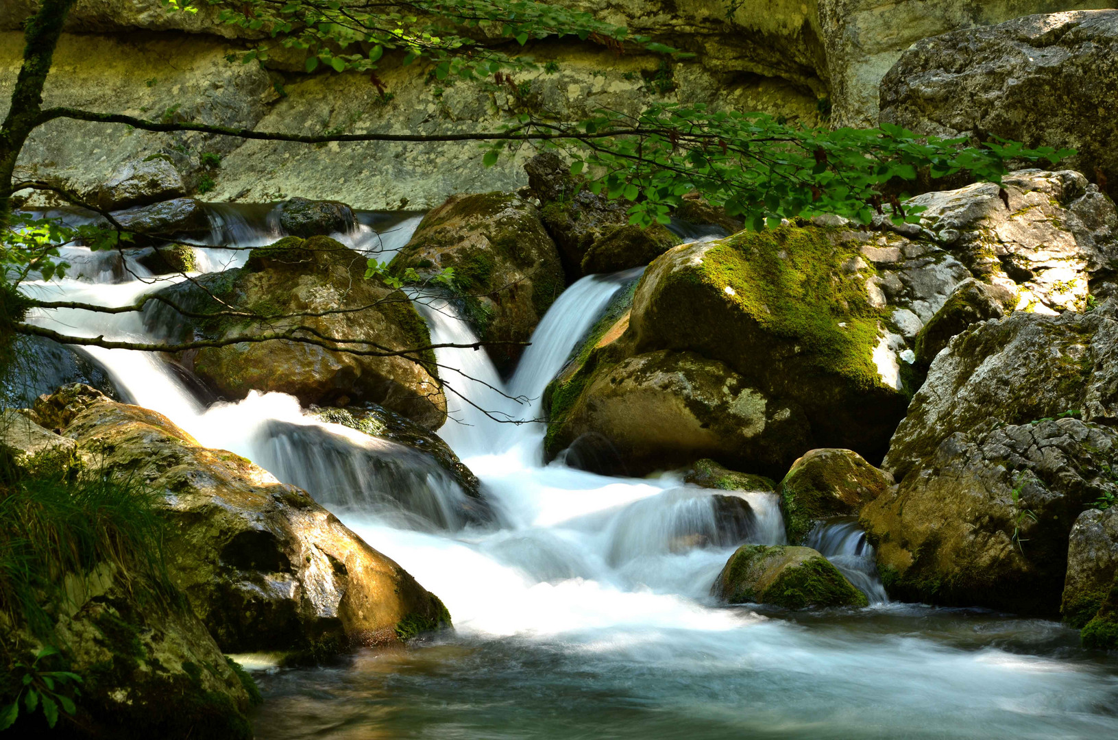 Wasser in Bewegung