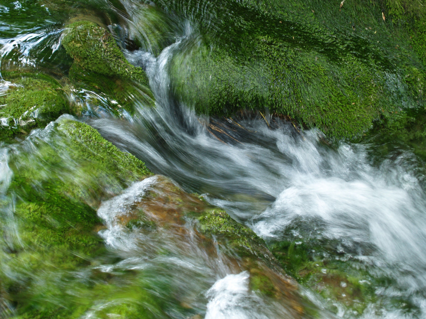 Wasser in Bewegung