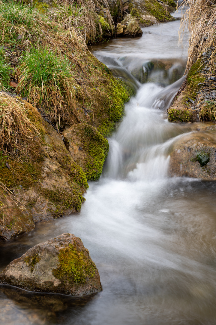 Wasser in Bewegung