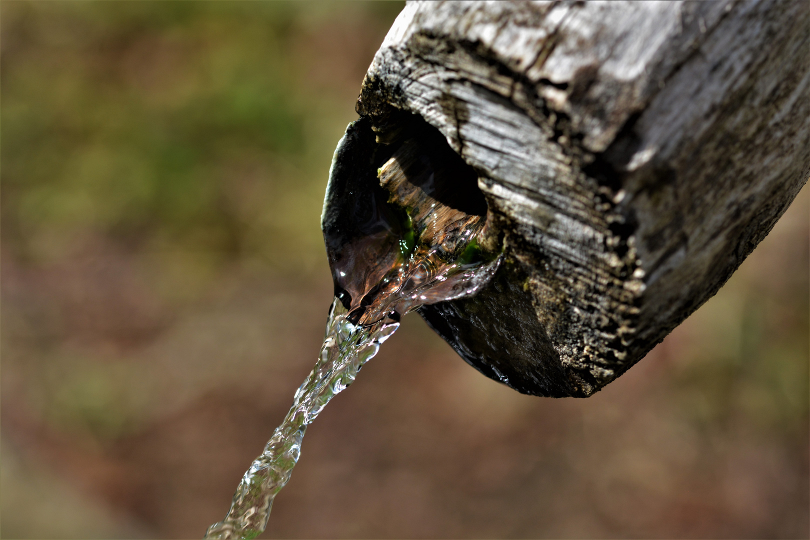 Wasser in Bewegung