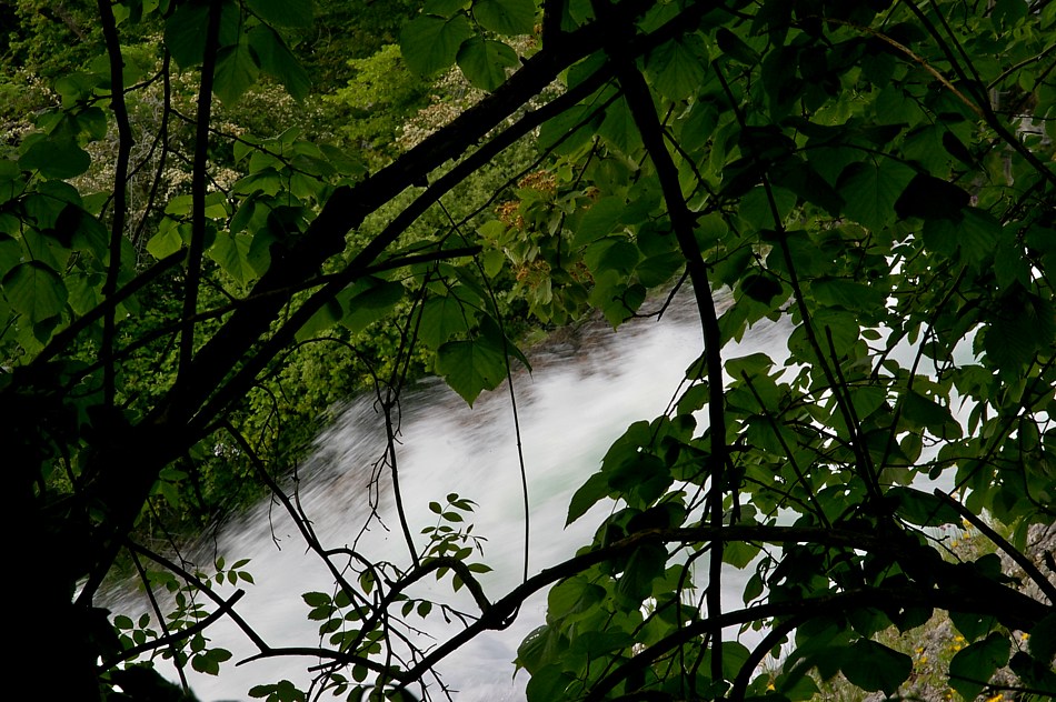 Wasser in Bewegung