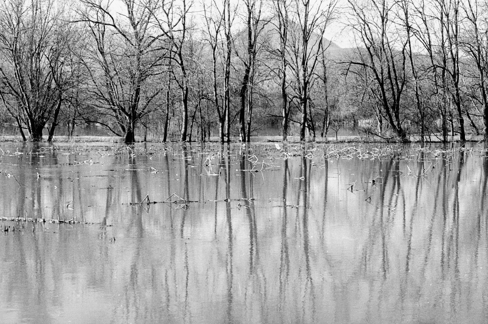 Wasser in den Illwiesen