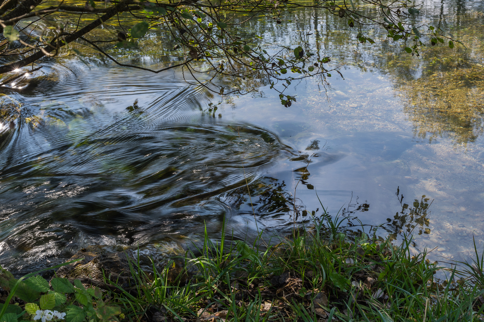 Wasser in der Au