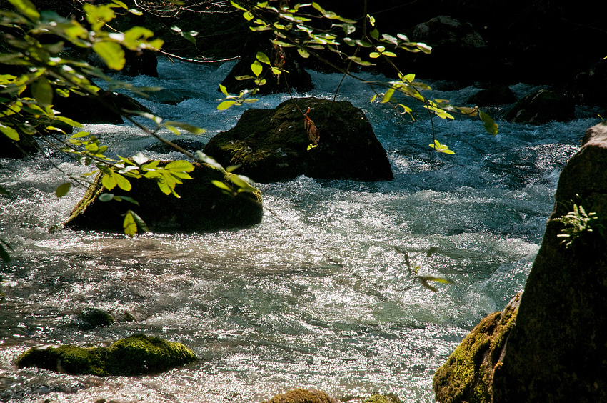 Wasser in der Dämmerung