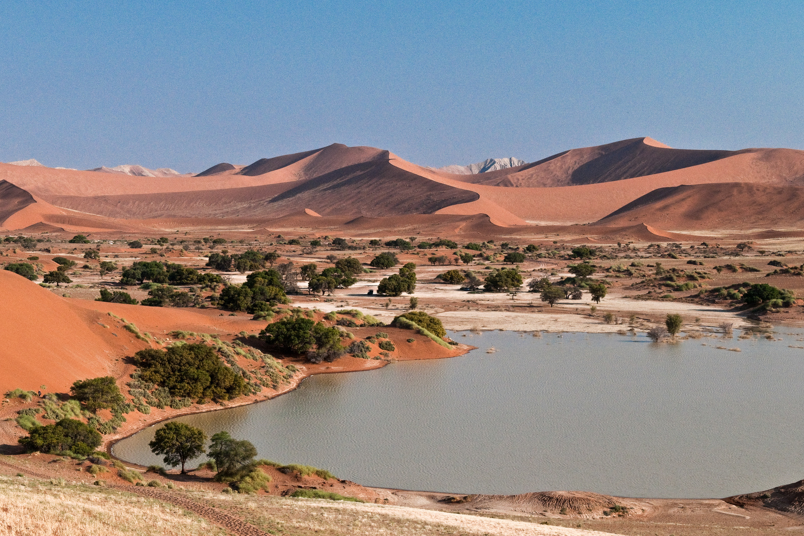 Wasser in der Namib Wüste