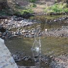 Wasser in der Natur erweckt den Spieltrieb...