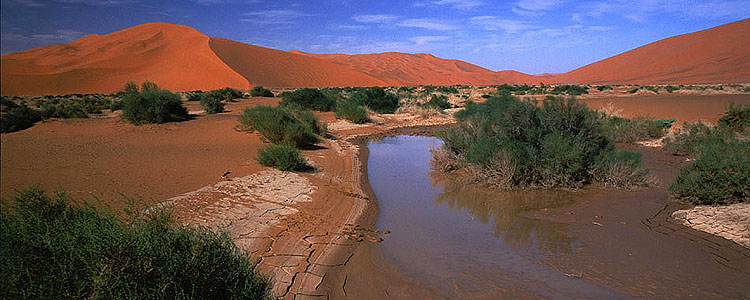 Wasser in der Wüste