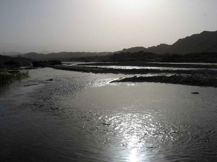 Wasser in der Wüste