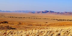 Wasser in der Wüste (Namib Naukluft NP)