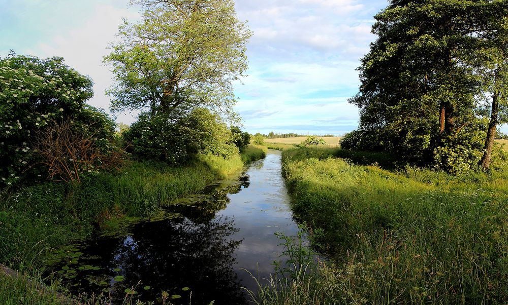 Wasser in Ermland- Masuren - Wassergraben