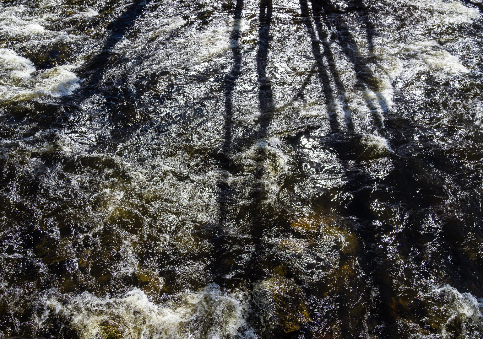 Wasser in Frühling