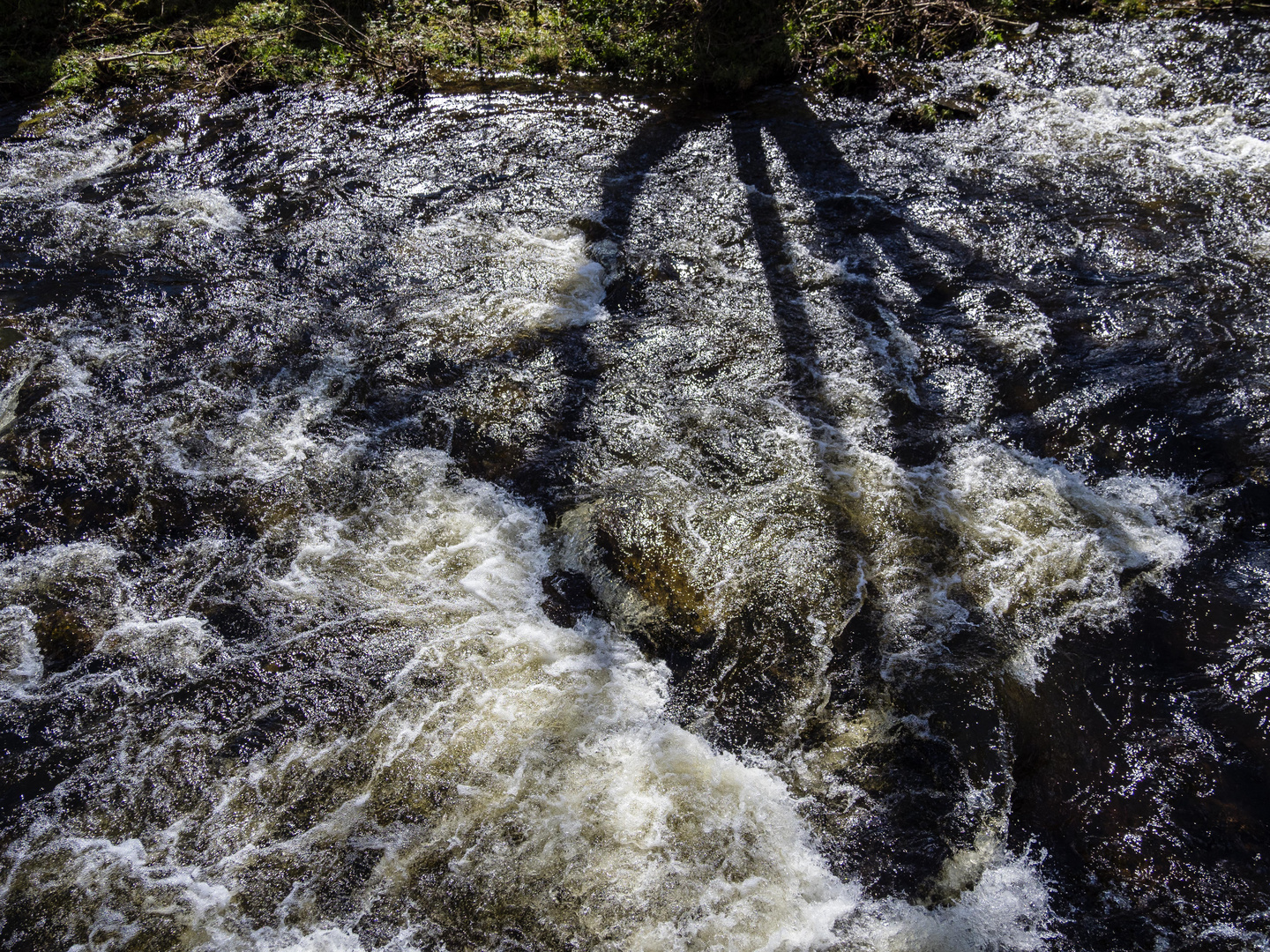 Wasser in Frühling