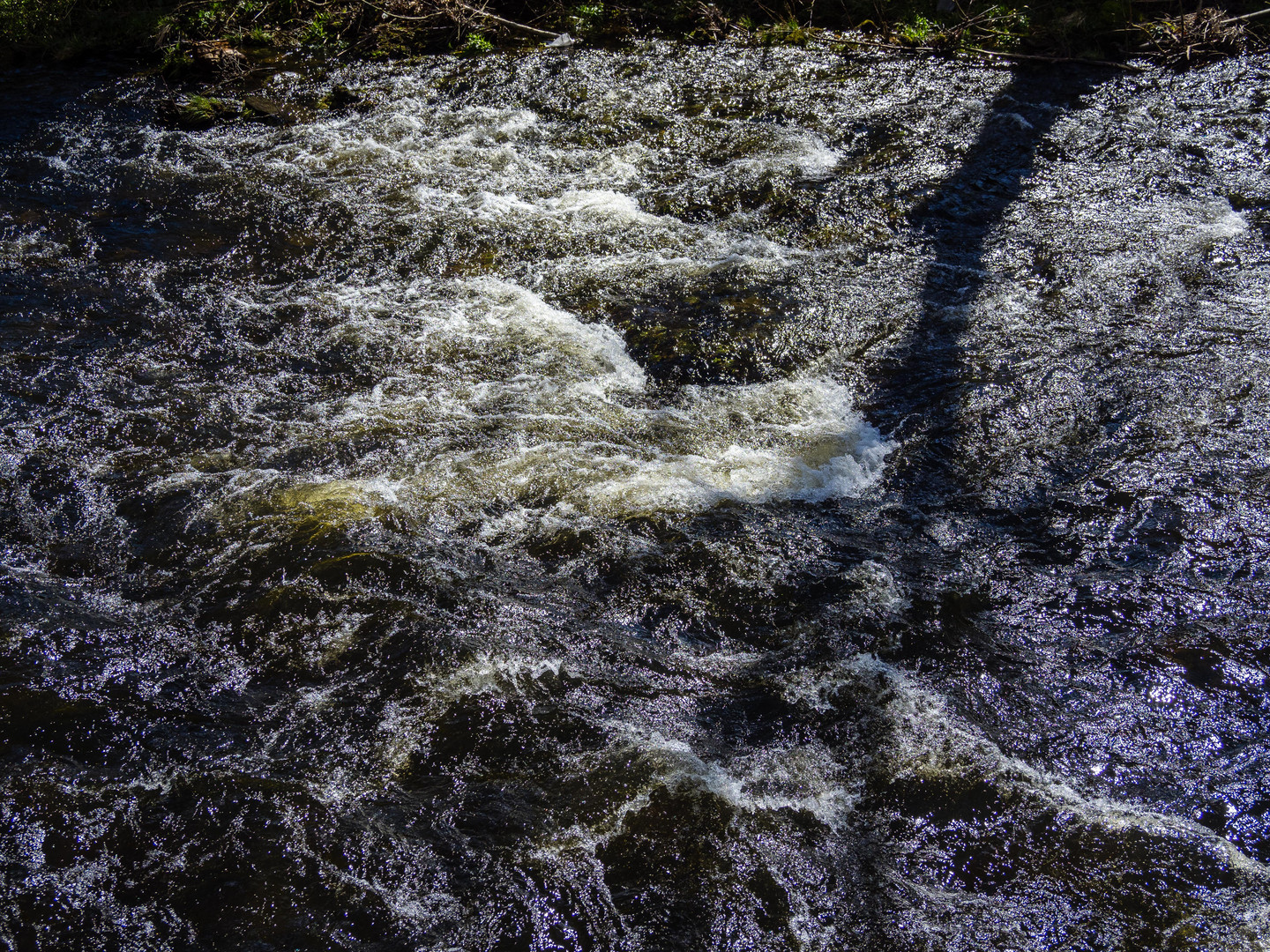 Wasser in Frühling