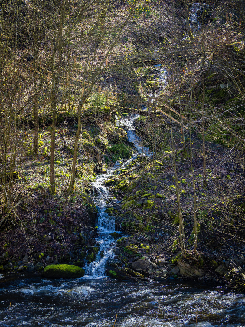 Wasser in Frühling