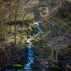 Wasser in Frühling