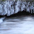 Wasser in gefrorener und in fließender Form - 20.1.16