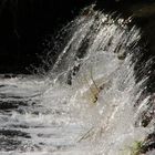 Wasser in Herbststimmung