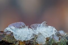 "Wasser in seiner vergänglichen Vorm........"