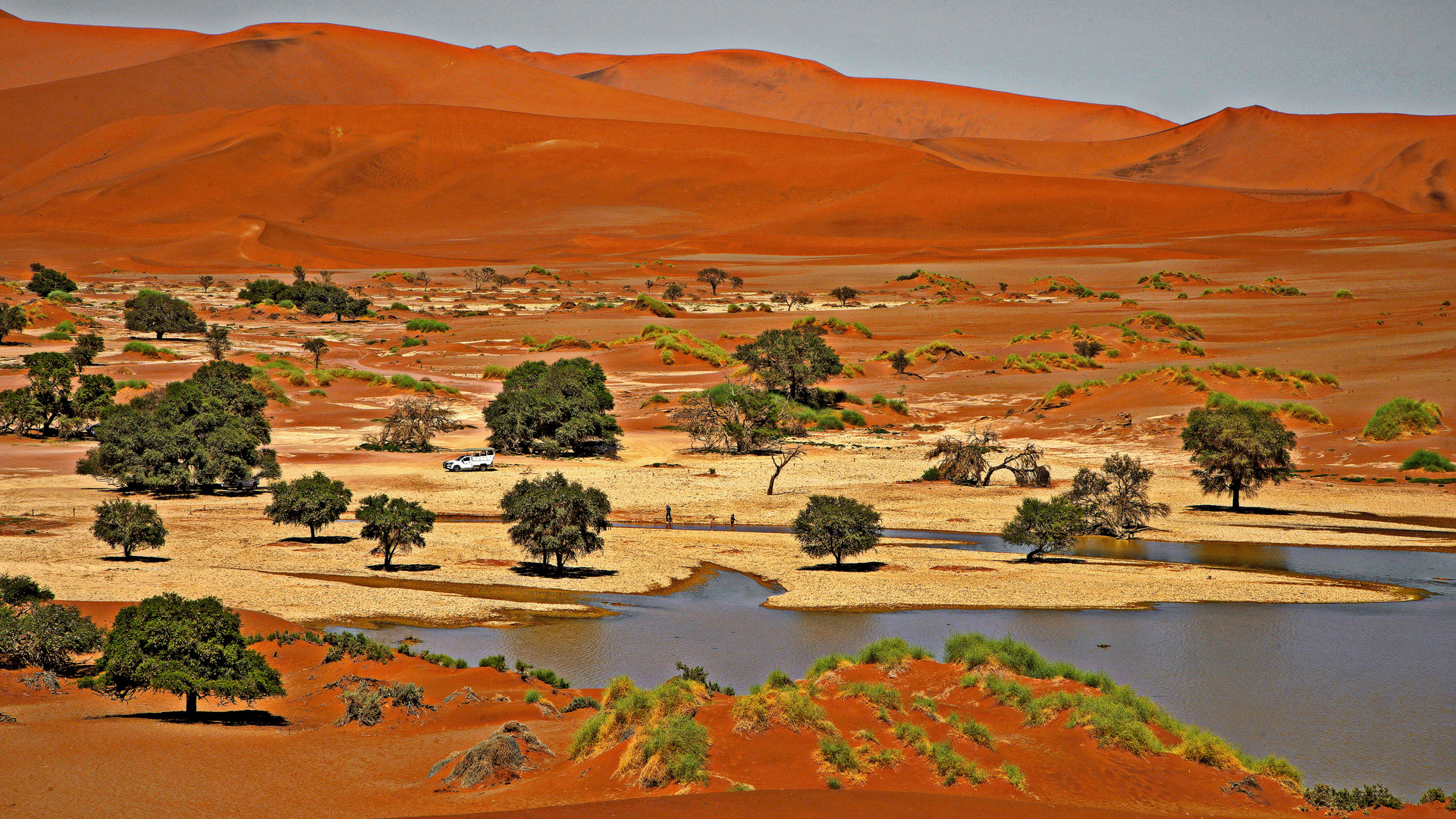 --- Wasser in Sossusvlei 2